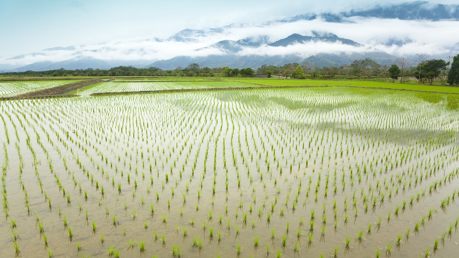 Soil sampler invented at XJTLU could promote food safety